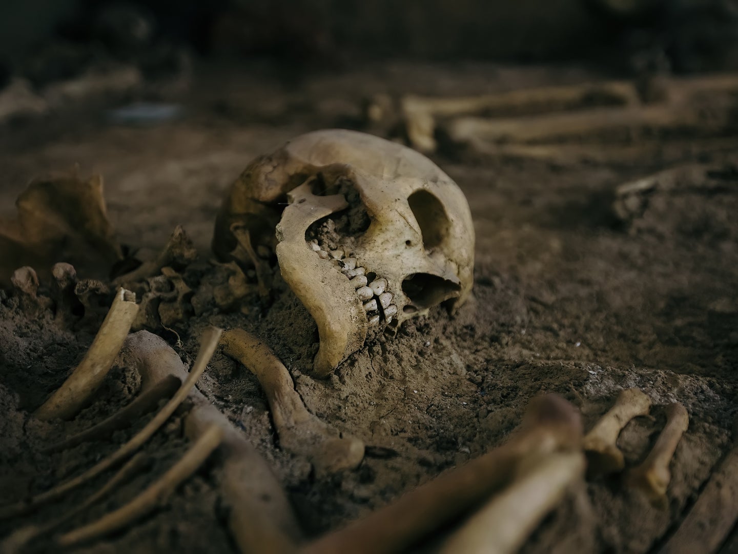 A skeleton on an archeological site.