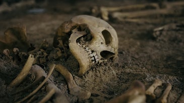 A skeleton on an archeological site.