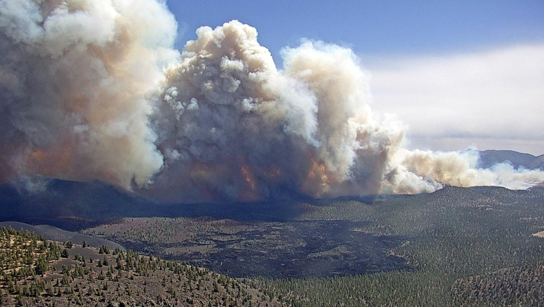 Por qué EE. UU. está experimentando incendios forestales antes de la primavera