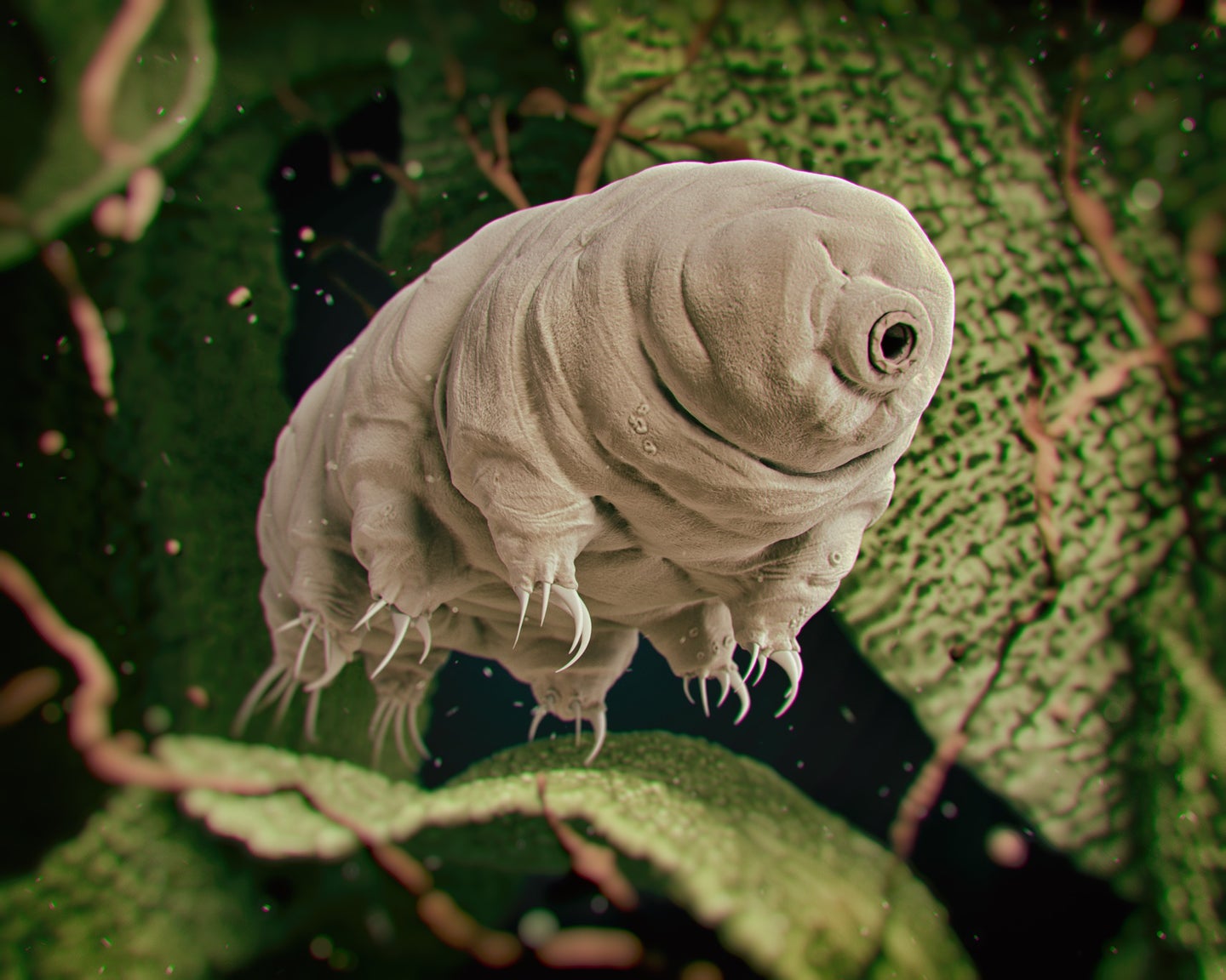 a 3d rendering of a tardigrade or water bear in a green aquatic environment