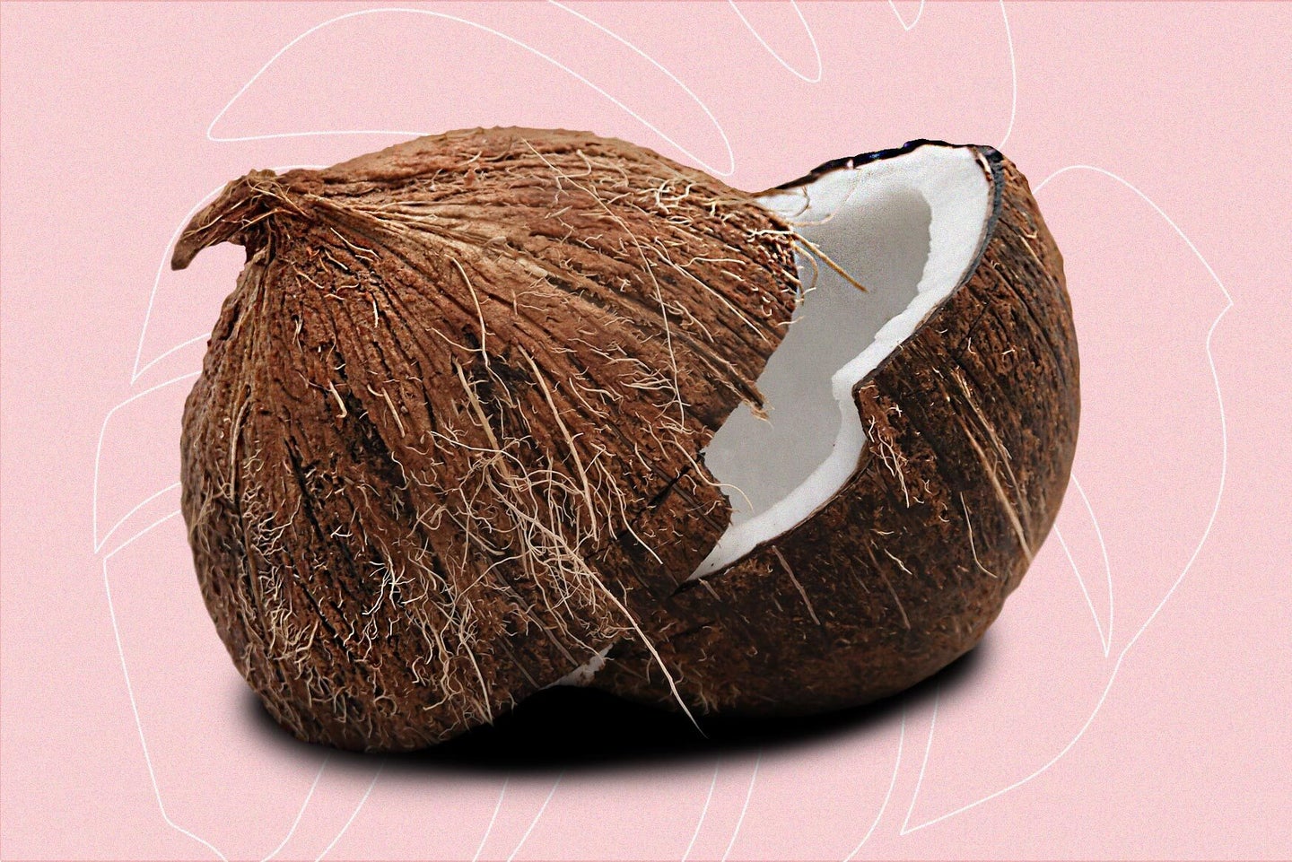 A cracked-open coconut on a light pink background with the white outline of a palm leaf underneath.