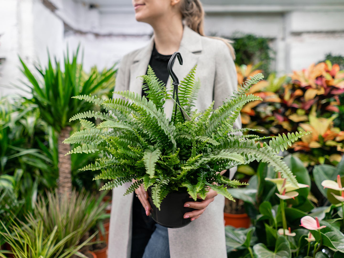 A person holding a houseplant at the store.