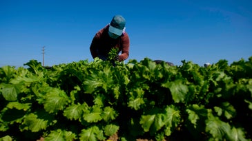 Farm workers exposed to climate change effects are demanding protections