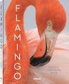 Flamingo book cover with close-up photo of Caribbean flamingo's head and neck
