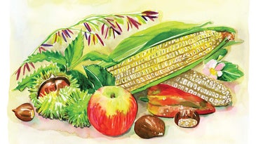An illustration of obscure crops