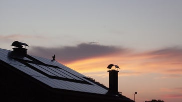 Solar panels on a home's roof at sunrise.