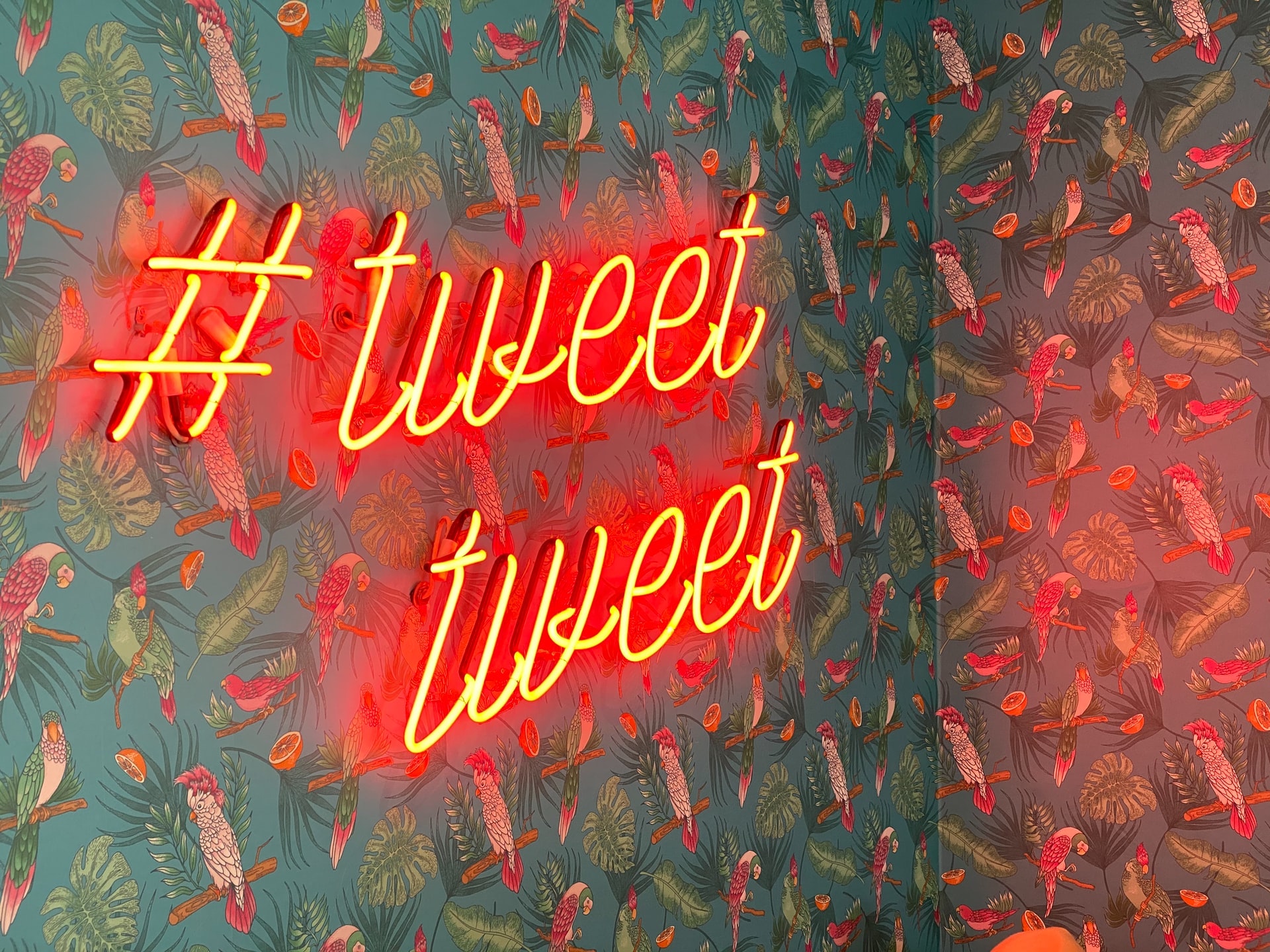 The pros and cons of finally getting an edit button on Twitter