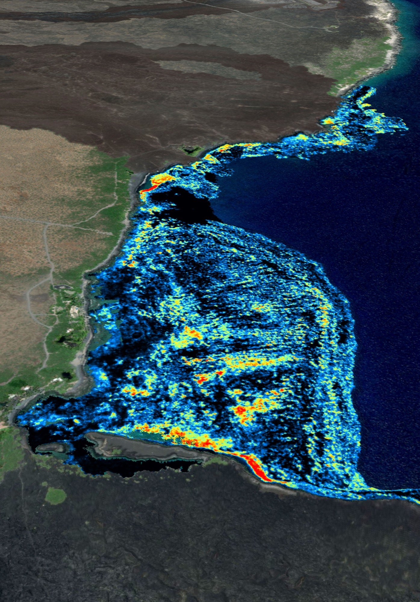 a map of a bay that shows patches of orange yellow and green, from spectroscopy