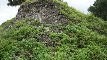 A hill made of oyster shell