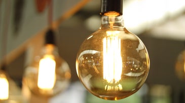 Lightbulbs hanging in restaurant.