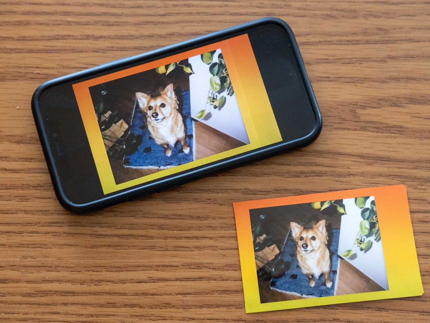 Image of an app that digitizes photos.