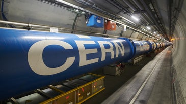 The Large Hadron Collider's magnet chain.