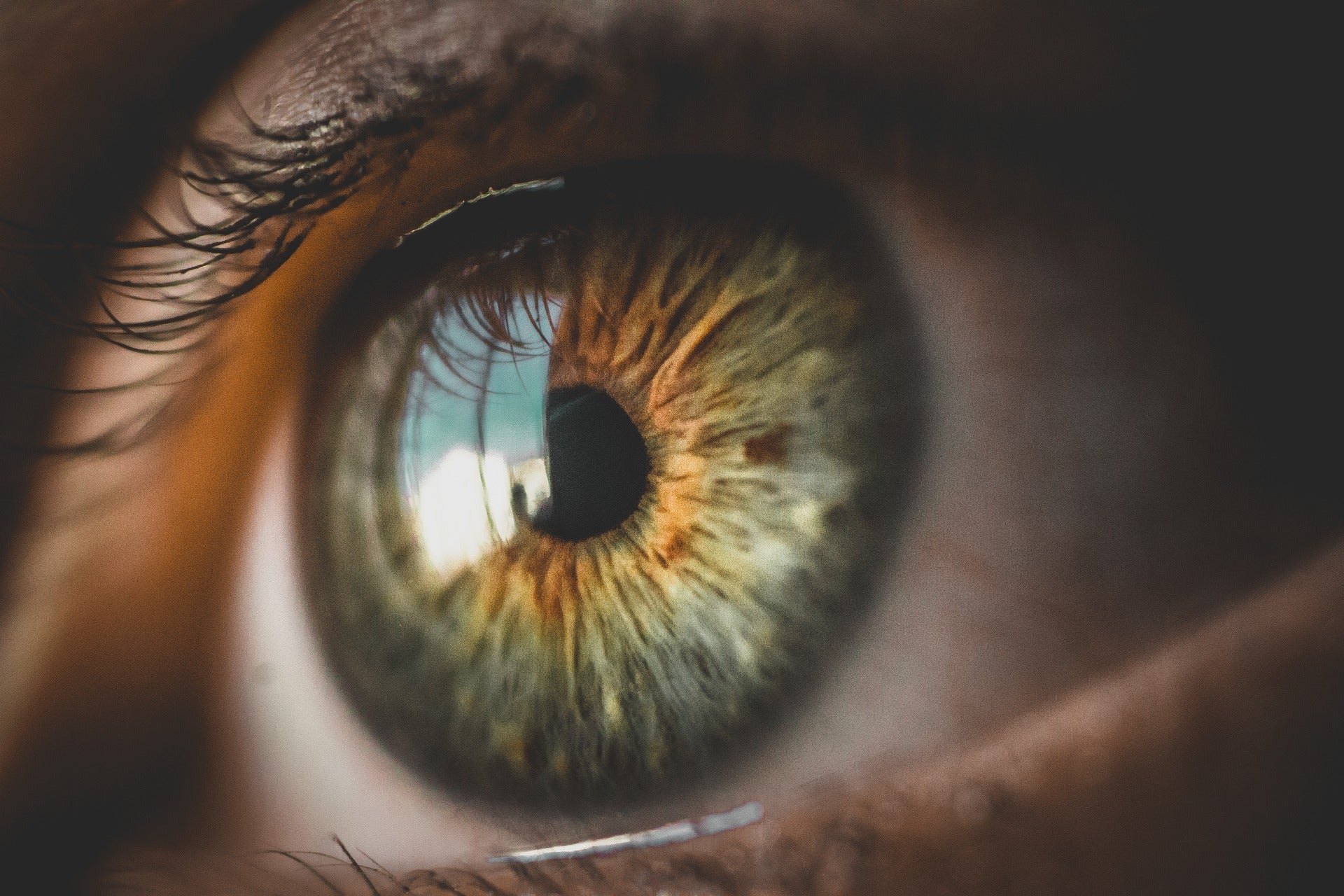 Científicos revivieron células sensibles a la luz de ojos muertos