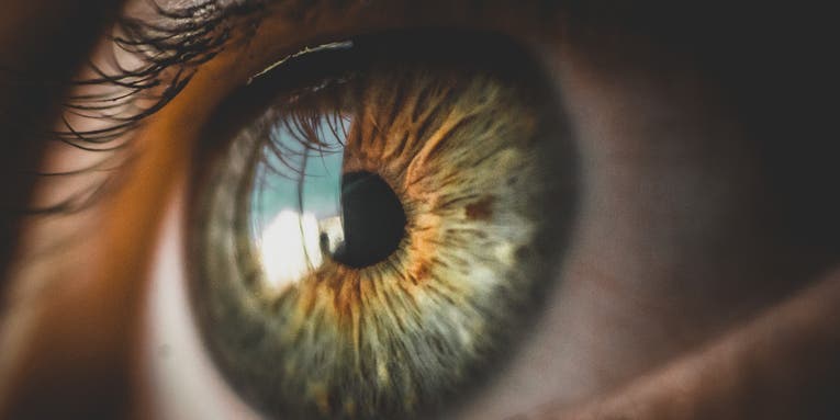 Researchers just woke up the eyeballs of dead donors and that’s good, actually