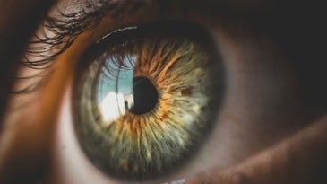 Electrical connections between eye neurons were restored in a new study.