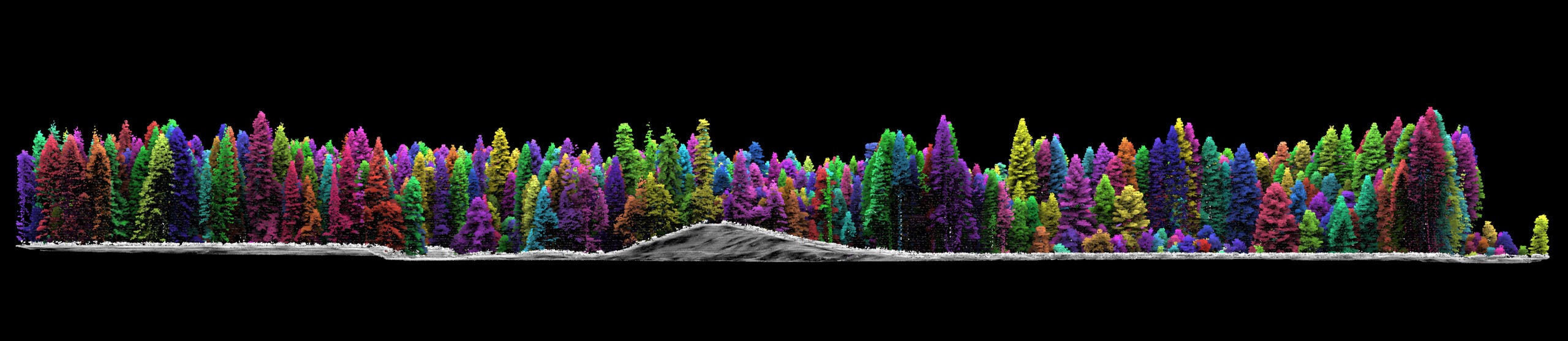 Multicolored trees from Yosemite's forests mapped from a lateral view on black