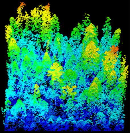 Unburned Yosemite forest mapped in blue, green, and yellow