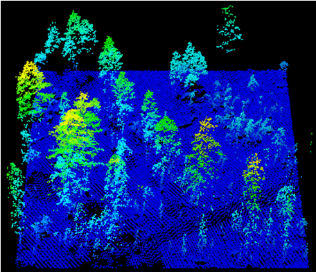 Yosemite forest burnt down, mapped in blue, green and yellow