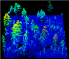 Highly burned Yosemite forest mapped in blue, green, and yellow