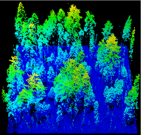Moderately scorched Yosemite forest highlighted in blue, green and yellow