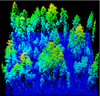 Moderately burned Yosemite forest mapped in blue, green, and yellow