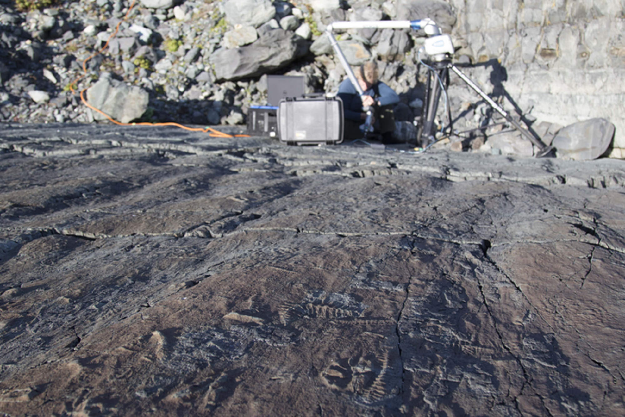 Paleontologist with a laser scanner over plant imprints and other fossils in a seabed in British Columbia, Canada