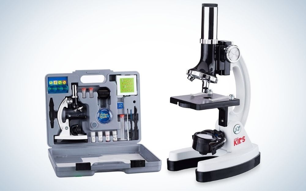 AmScope Beginner Microscope STEM Kit is the best overall microscope for kids.