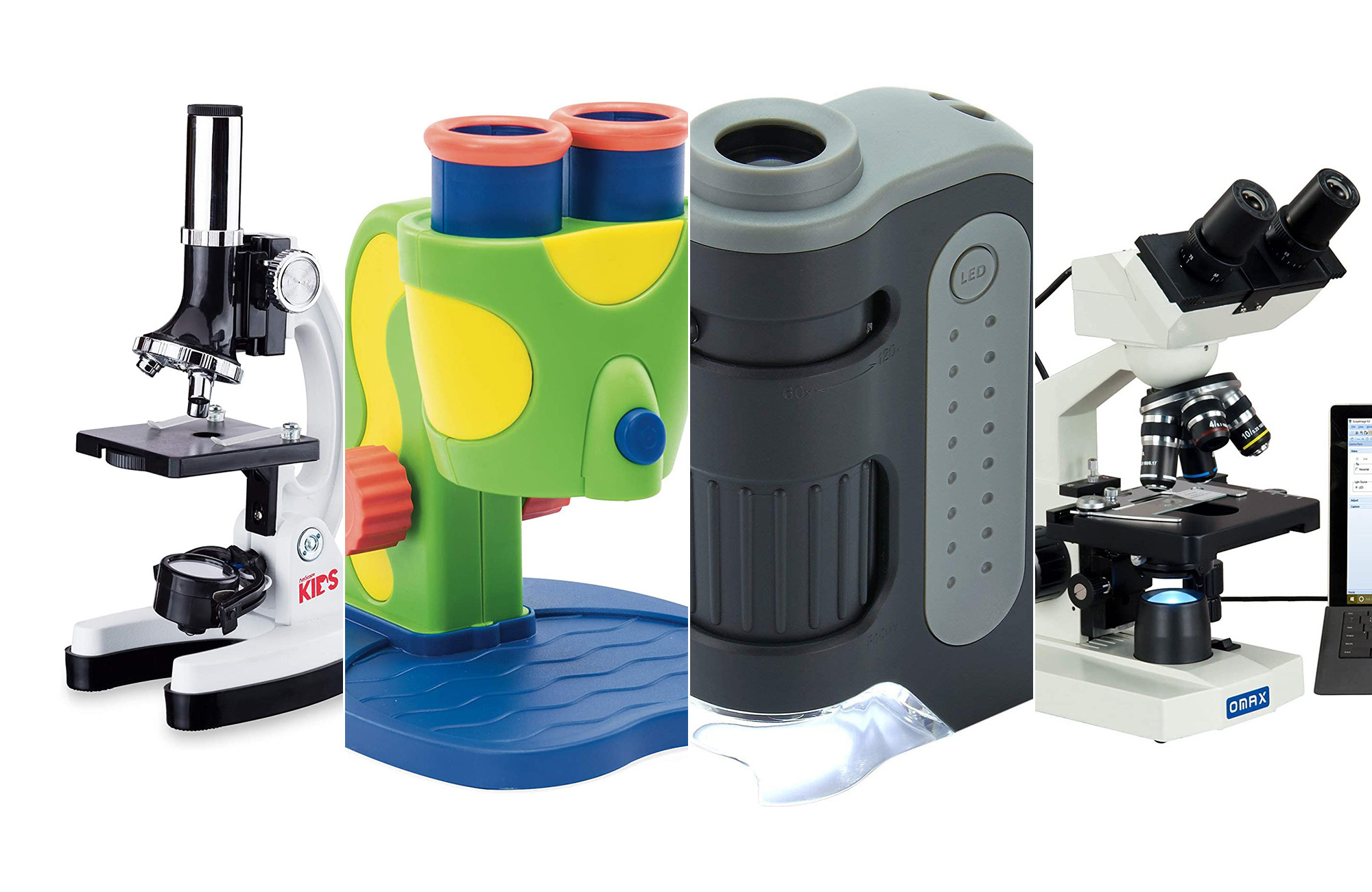 The best microscopes for kids in 2023