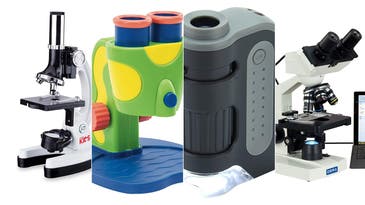 The best microscopes for kids in 2024