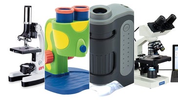 The best microscopes for kids of 2022