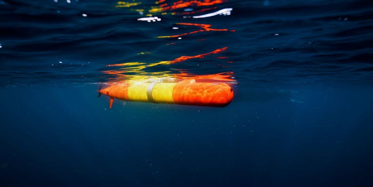 These seawater-sipping robots use drifting genes to make ocean guest logs