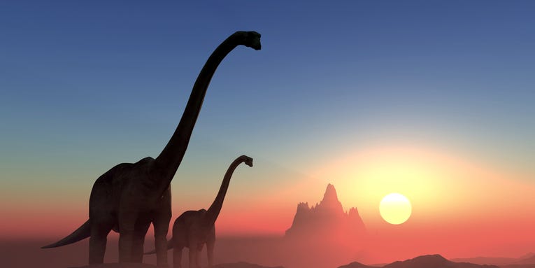 Were dinosaurs warm-blooded or cold-blooded? Maybe both.