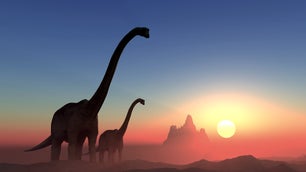 silhouette of two long-necked dinosaurs as the sun sets in a desert-like environment