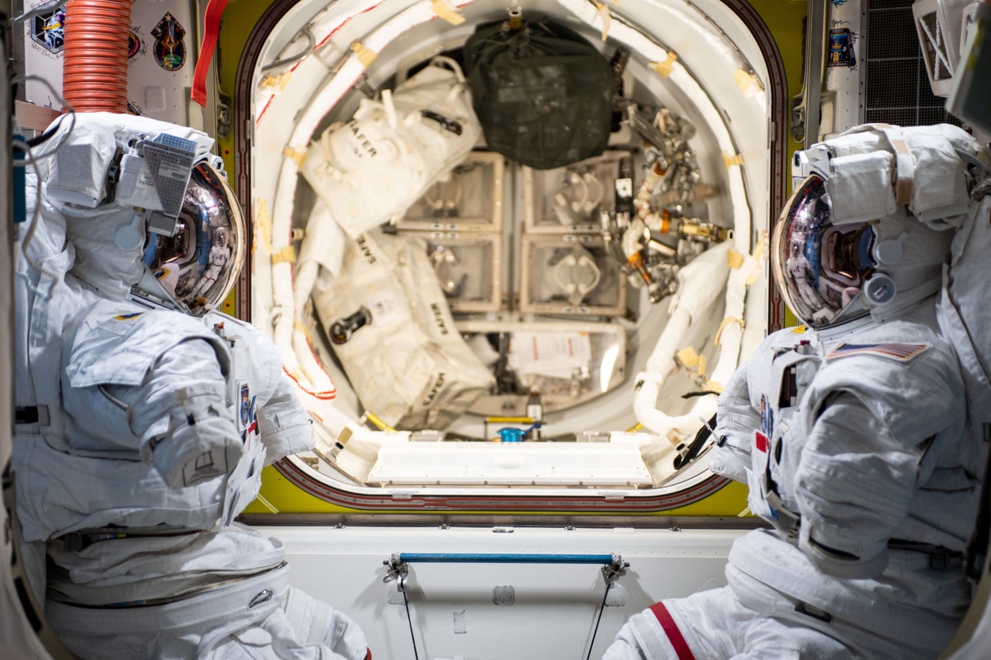 Surfaces, equipment, and space suits on the International Space Station are all at risk of microbial contaminants. 