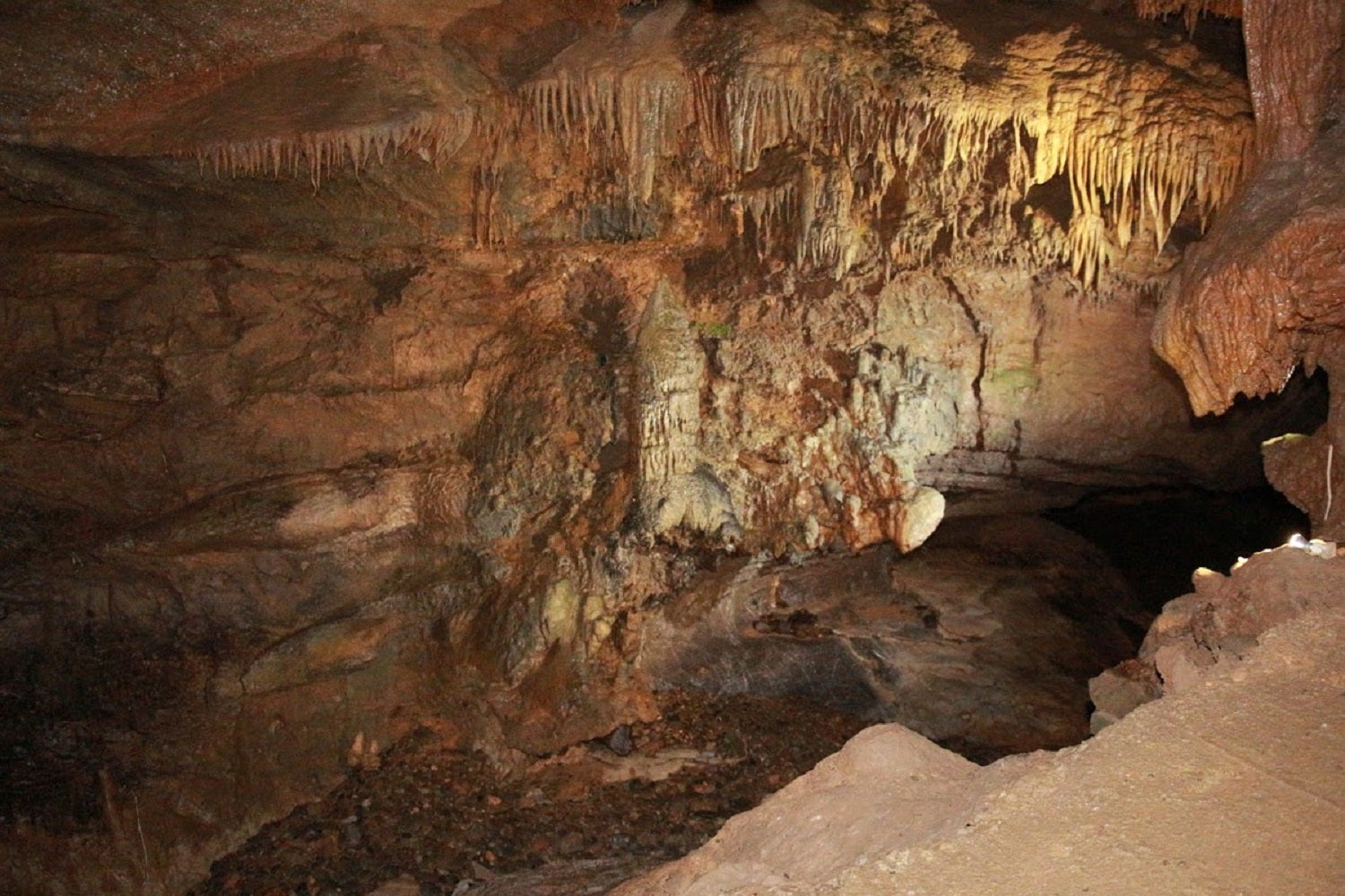 Stalactite formations on the roof of Tuckleechee Caverns in Tennessee