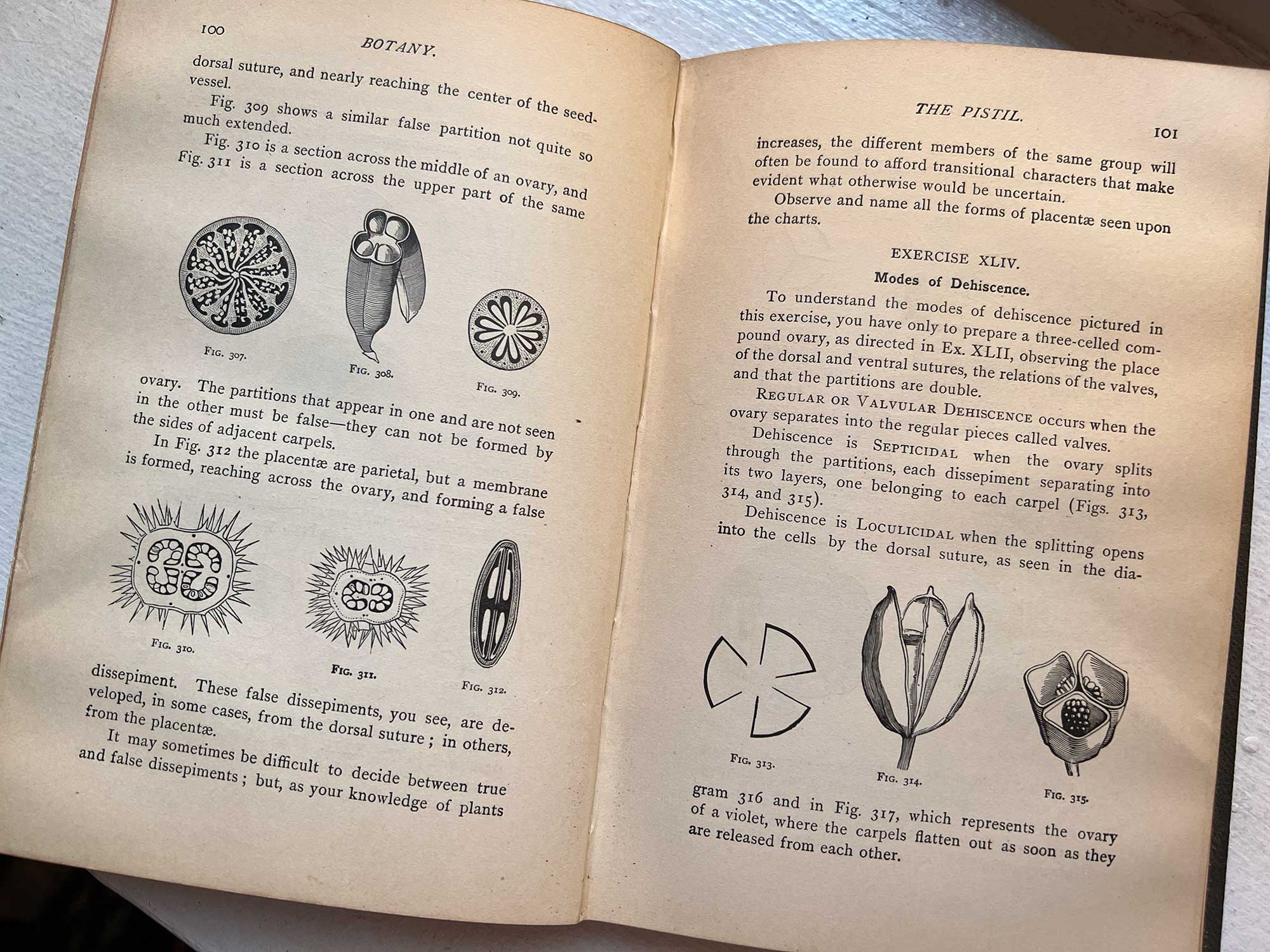 pages-book-of-botany
