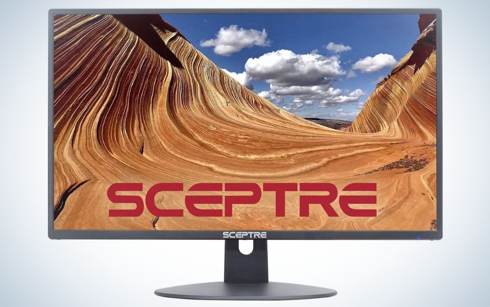 Sceptre E248W-19203R is the best budget gaming monitor under $200.