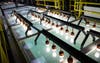 Rows of lightbulbs above a giant saltwater tank at the Scripps Institution for Oceanography
