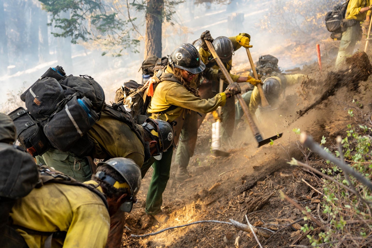 A line of firefighters dig with hand tools to construct fireline in a forest.