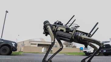 A new tail accessory propels this robot dog across streams