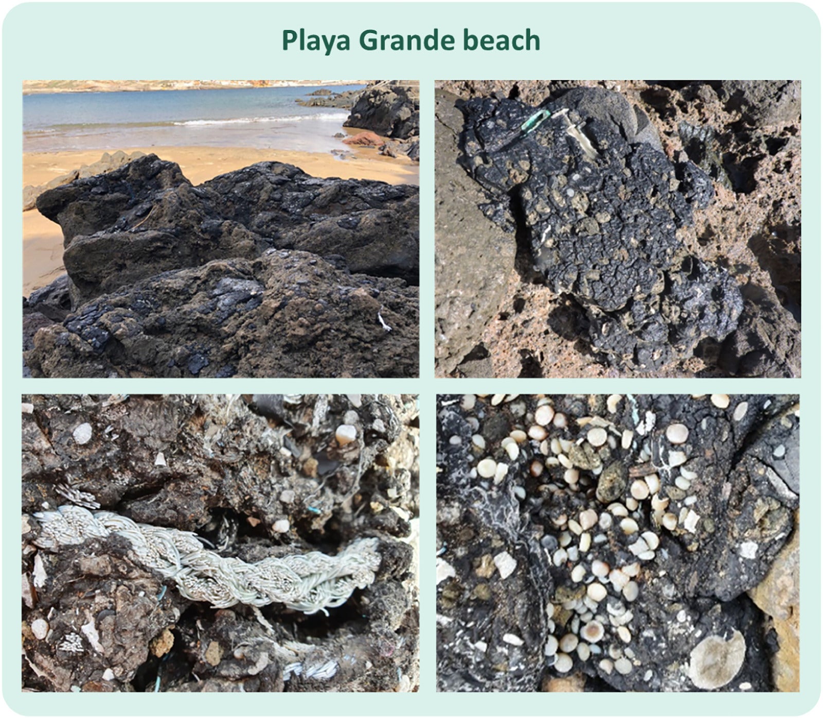 Horrific blobs of ‘plastitar’ are gunking up Atlantic beaches