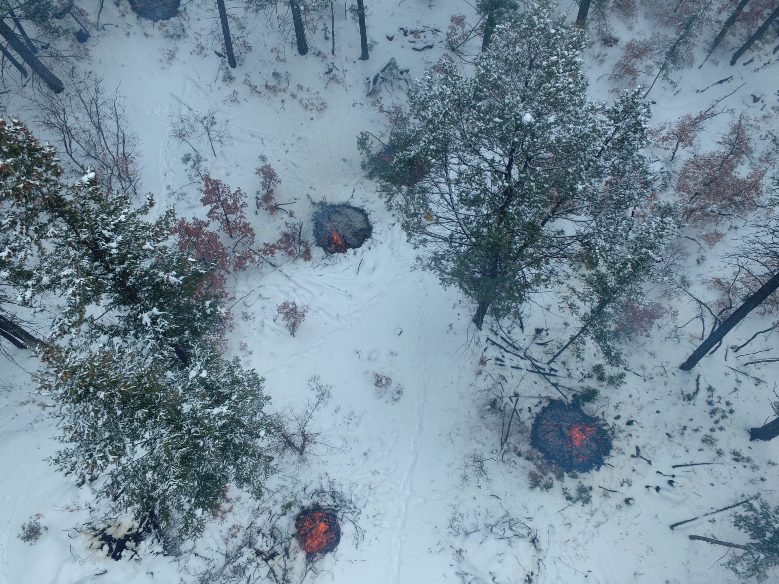 Piles of ash on snow after prescribe burns in the Santa Fe National Forest