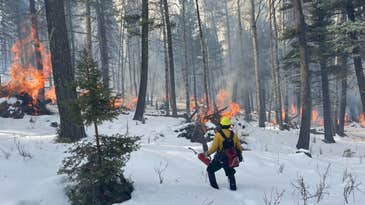Why the US Forest Service paused prescribed burns—a key wildfire prevention tool