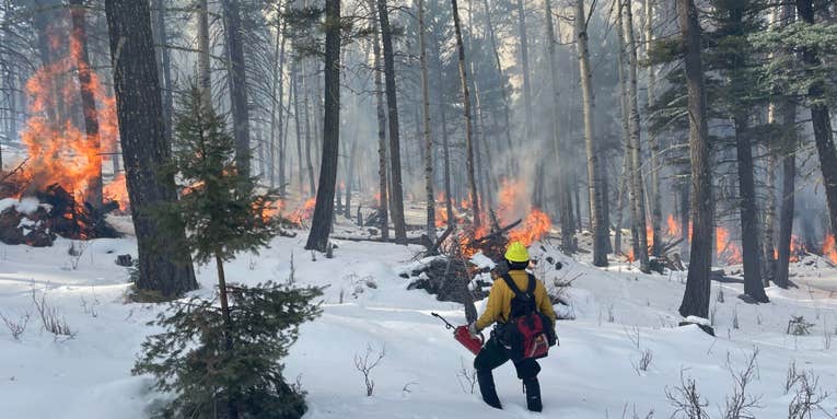 Why the US Forest Service paused prescribed burns—a key wildfire prevention tool