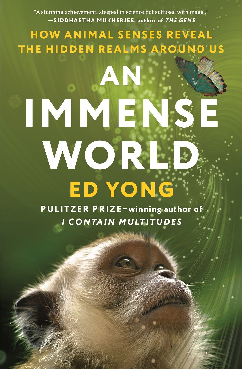 An Immense World by Ed Yong book cover with a white monkey looking up at a blue butterfly on a green background with white and gold all-caps text