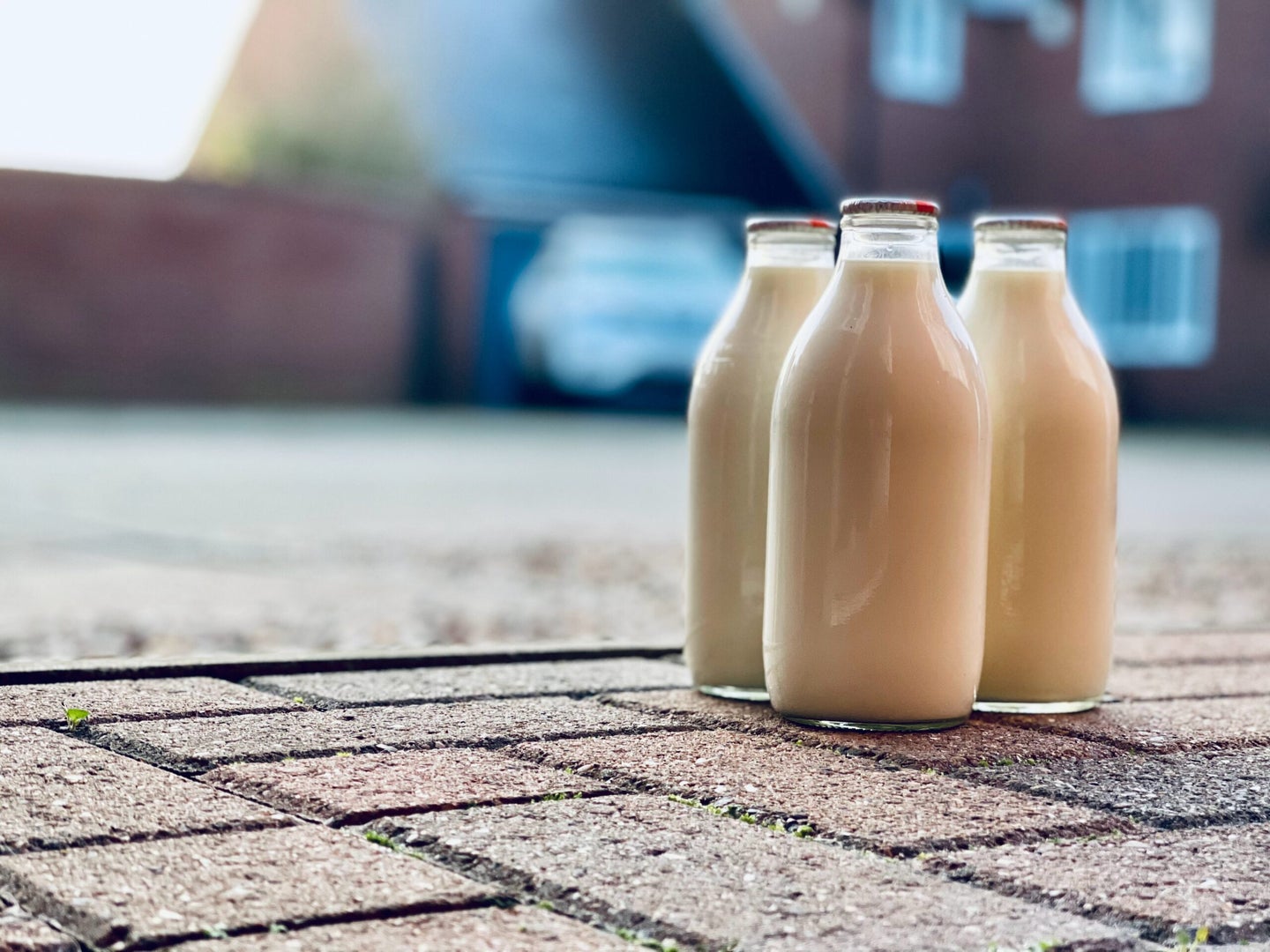 Three jugs of milk on sidewalk.