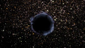 ‘Rogue black holes’ might be neither ‘rogue’ nor ‘black holes’