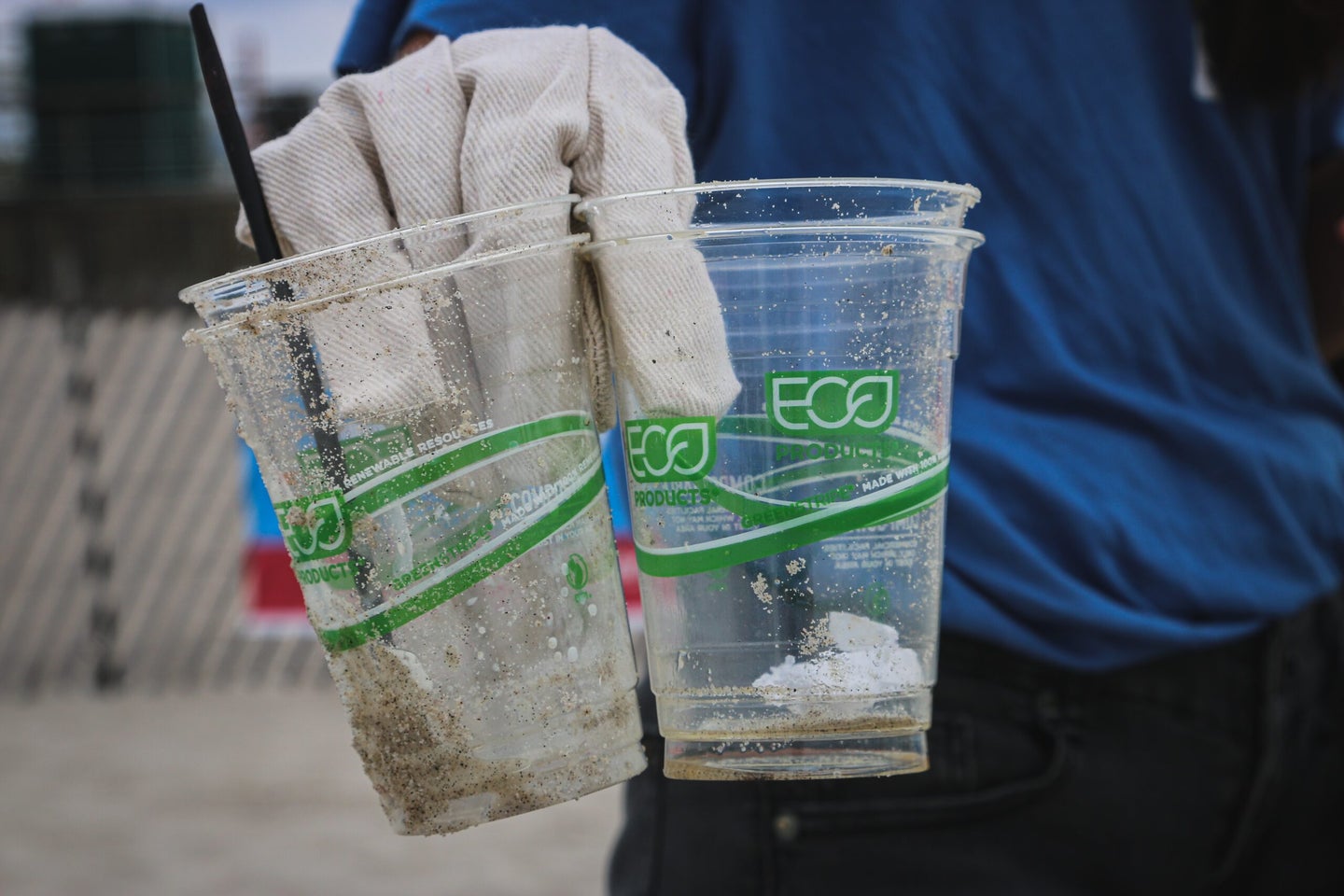 Compostable plastic cups found in garbage.