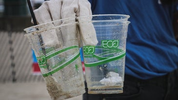 Single-use plastic is on its way out of national parks. But why is the pace so glacial?