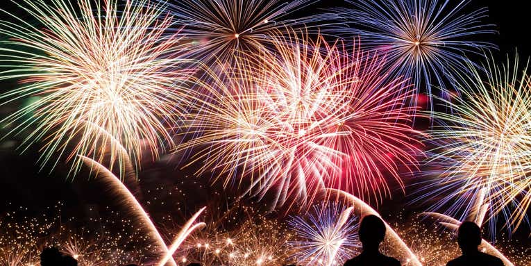 Babies and pets might freak out during fireworks shows, but you can help them relax